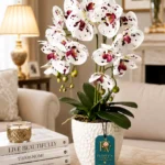 White Orchid Flower Pot