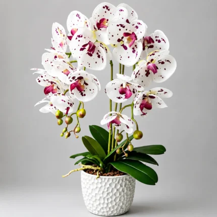 enchanting-flower