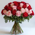 Two Dozen Of Red And Pink Roses Bouquet