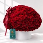 Red Haven Box - Image 2