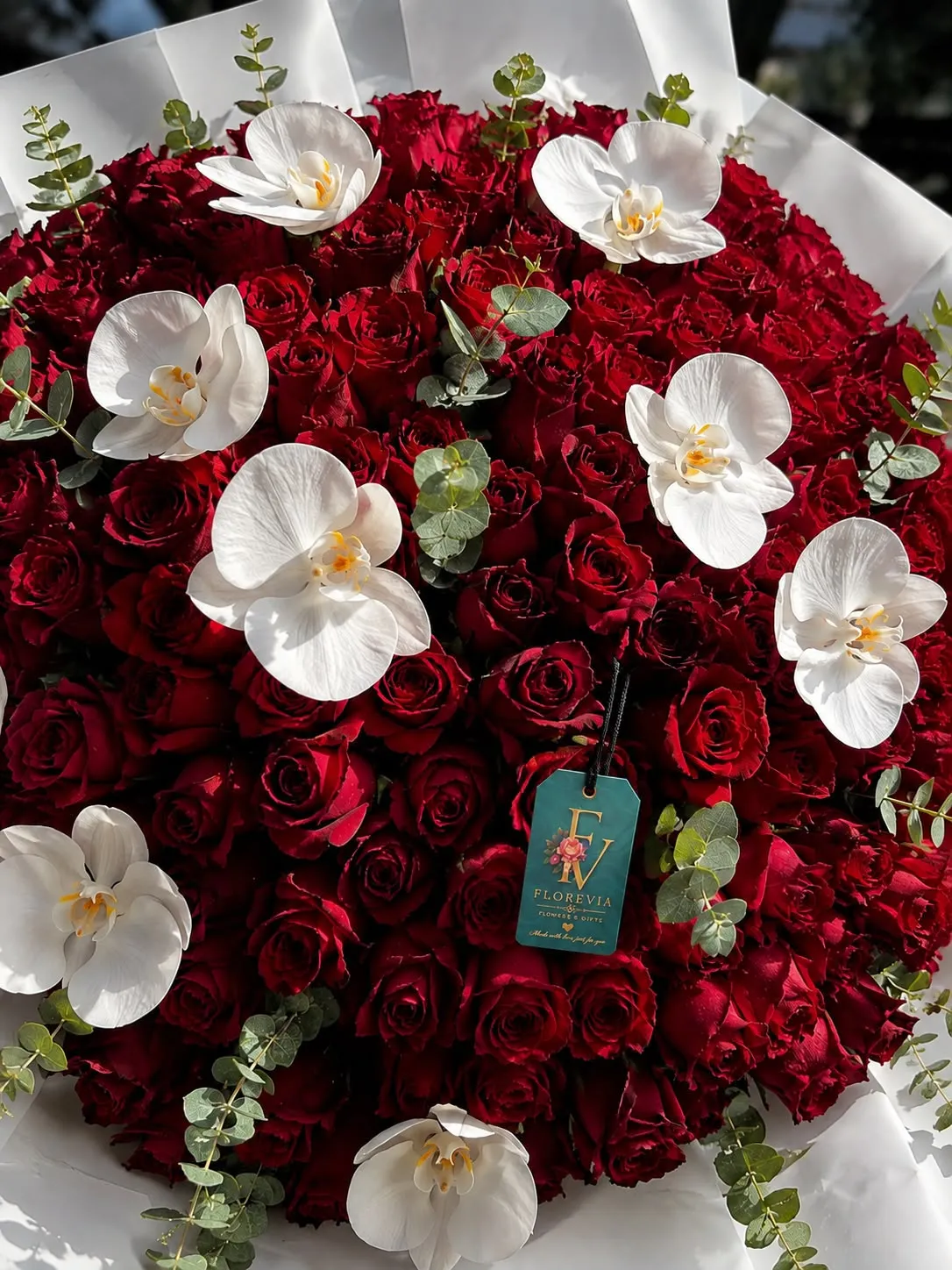 a (4) Scarlet Elan - Image 1